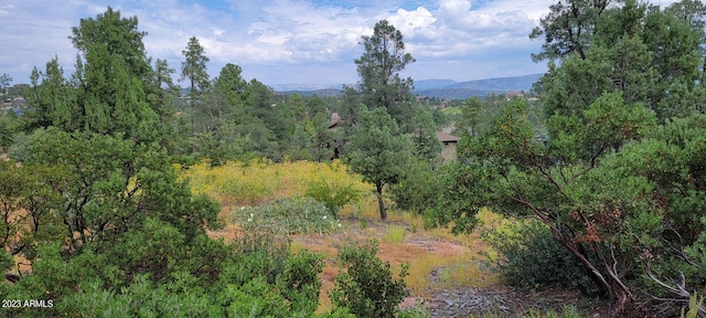 Listing photo 3 for 1907 E Cliff Rose Dr Unit 817, Payson AZ 85541