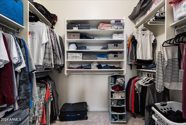 walk in closet featuring carpet floors