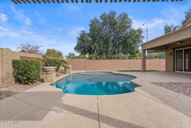 view of swimming pool with a patio