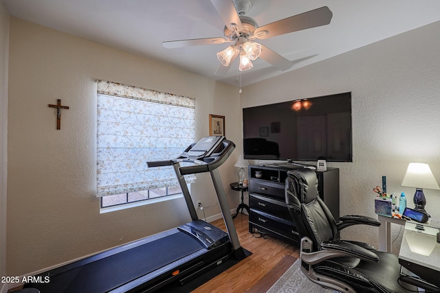 home office with hardwood / wood-style floors and ceiling fan