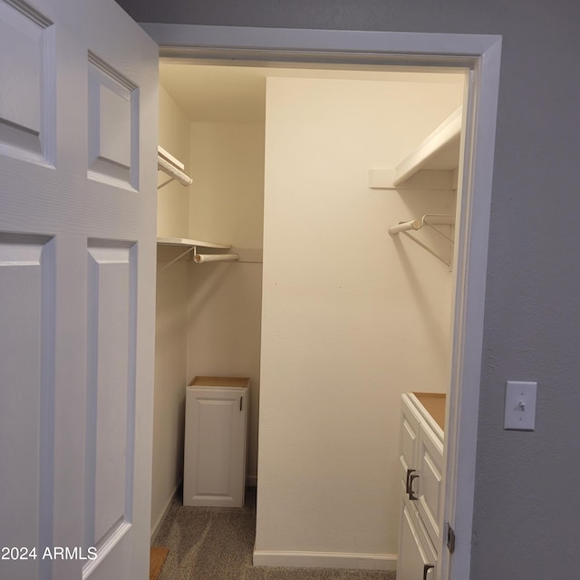 spacious closet with carpet