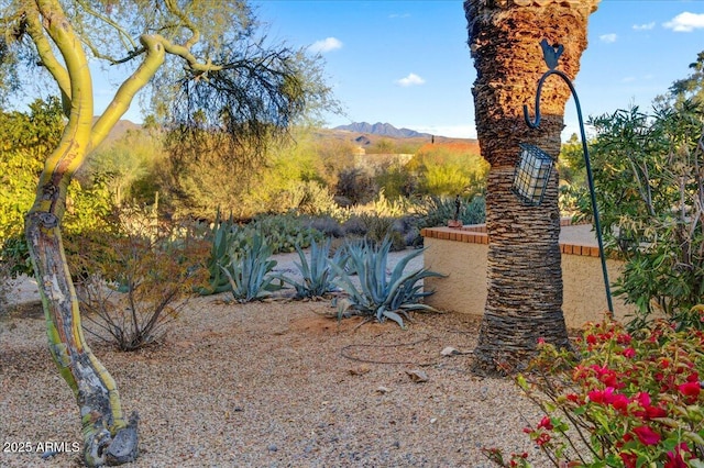 view of yard featuring a mountain view