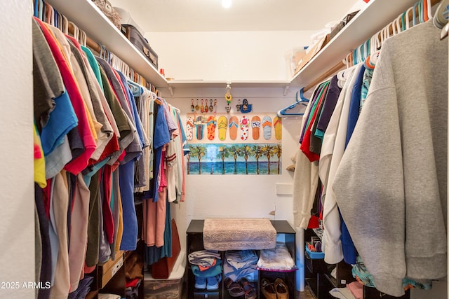 view of spacious closet