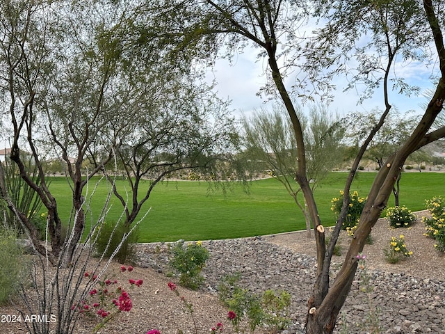 view of property's community featuring a yard