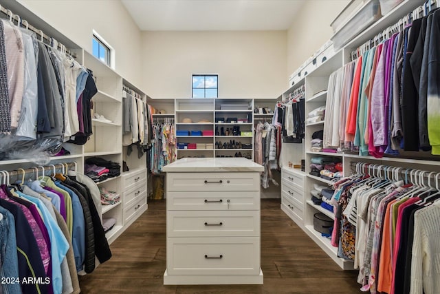 spacious closet with dark wood-type flooring