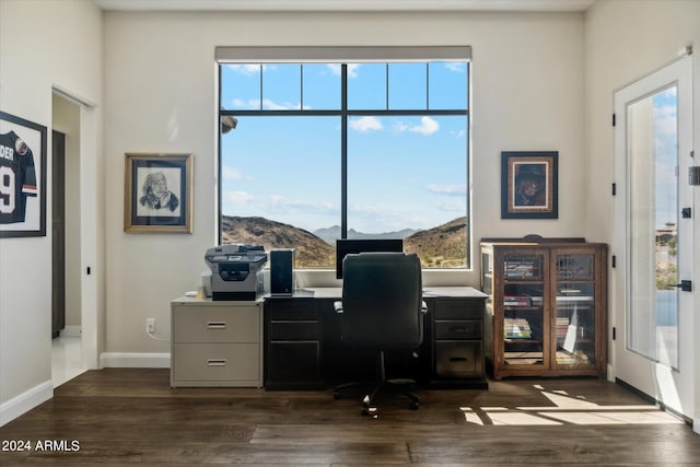 office space featuring dark hardwood / wood-style flooring and a wealth of natural light