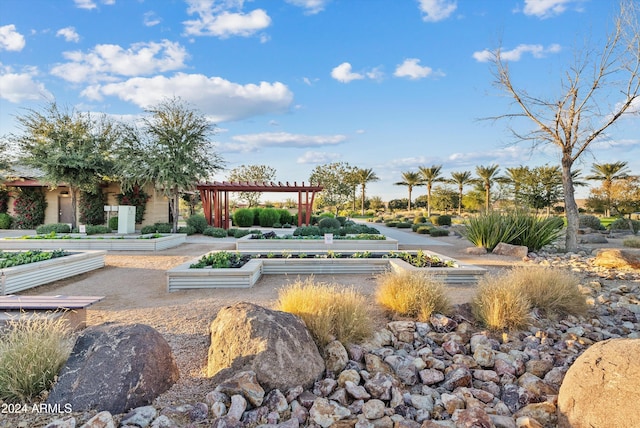 view of community with a pergola