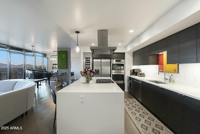 kitchen with dark cabinets, island range hood, stainless steel appliances, a sink, and open floor plan