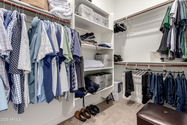 spacious closet featuring carpet flooring