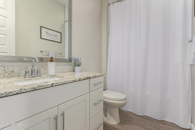 bathroom featuring toilet, vanity, and wood-type flooring