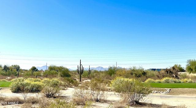 view of nature featuring a mountain view