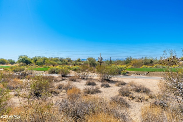 view of local wilderness