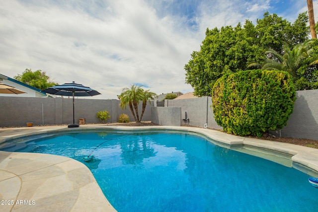view of pool with a fenced in pool and a fenced backyard