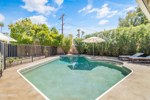 view of pool featuring a patio