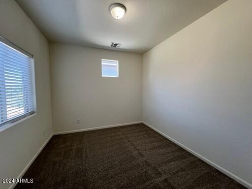 carpeted empty room featuring plenty of natural light