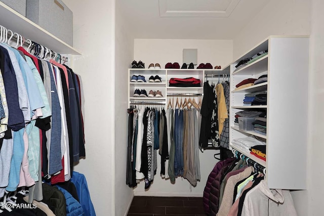 view of spacious closet