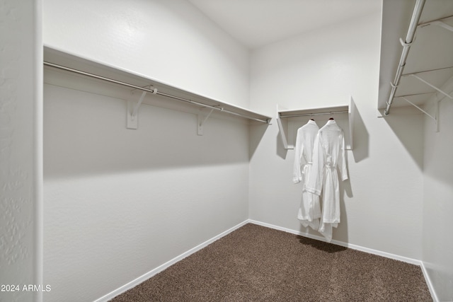 spacious closet with carpet