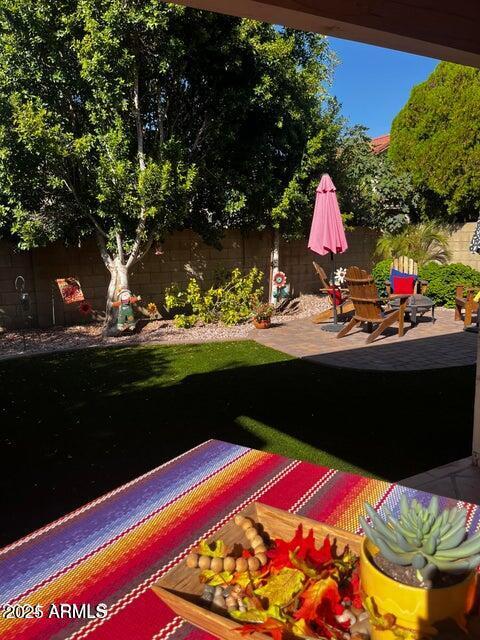 view of yard with a patio