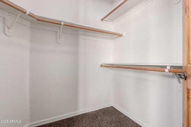 5347 E 10th Ave, Apache Junction, AZ 85119 - spacious closet featuring carpet flooring