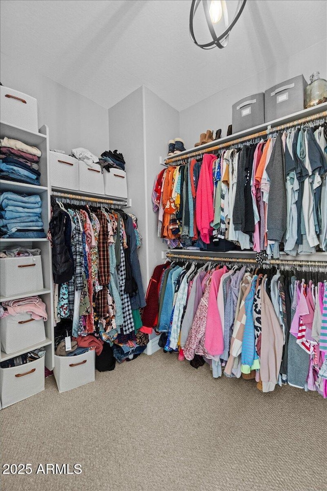 spacious closet featuring carpet floors