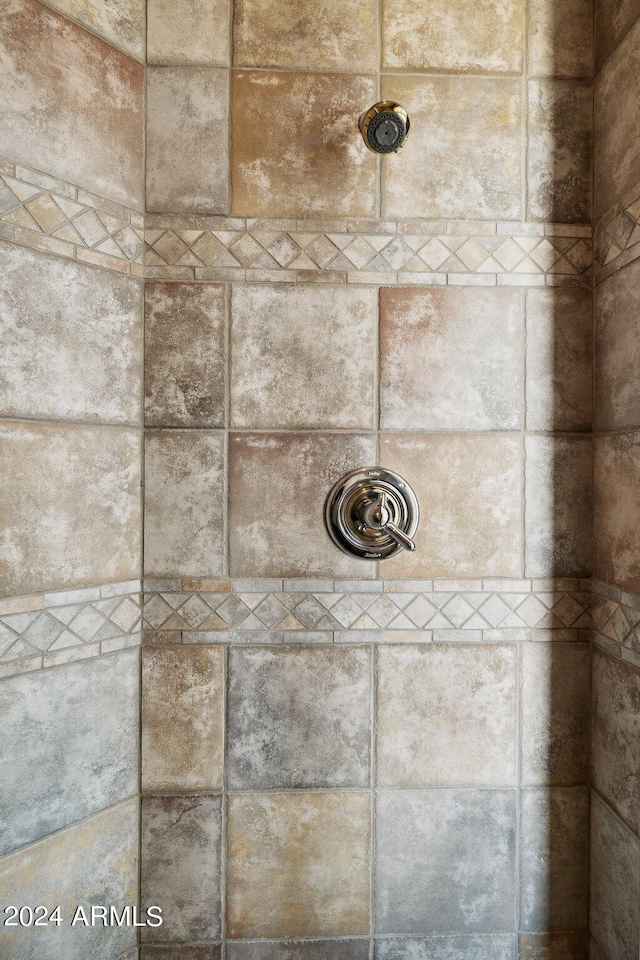 interior details featuring tiled shower