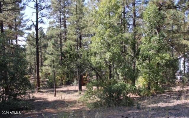 1160 S Cherokee Dr Unit 35, Show Low AZ, 85901 land for sale