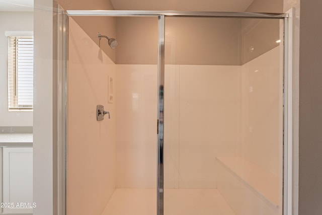 bathroom featuring a shower stall