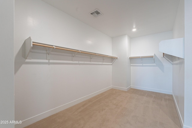spacious closet with light carpet