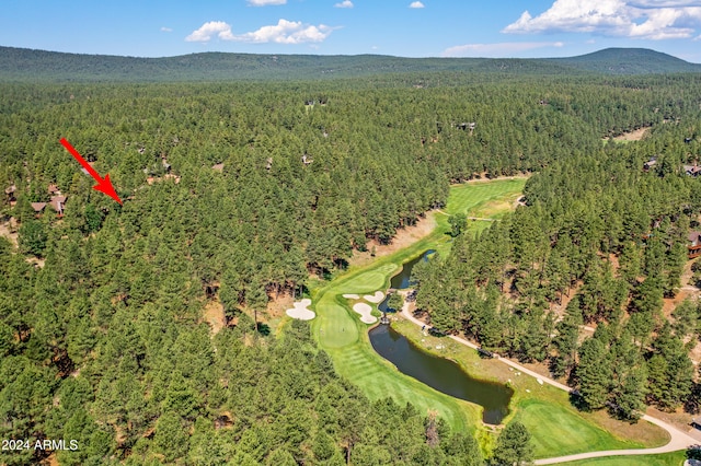 drone / aerial view with a water and mountain view