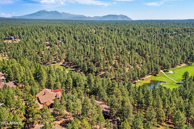 bird's eye view with a water and mountain view