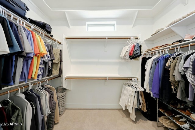spacious closet with light colored carpet