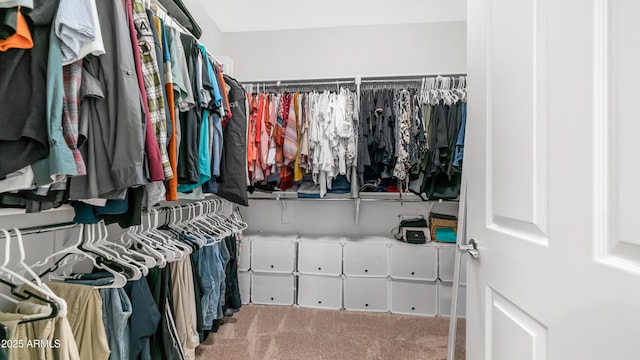 27636 W Runion Dr, Buckeye, AZ 85396 - spacious closet with carpet flooring