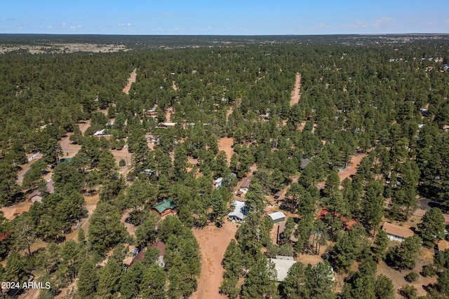 view of drone / aerial view