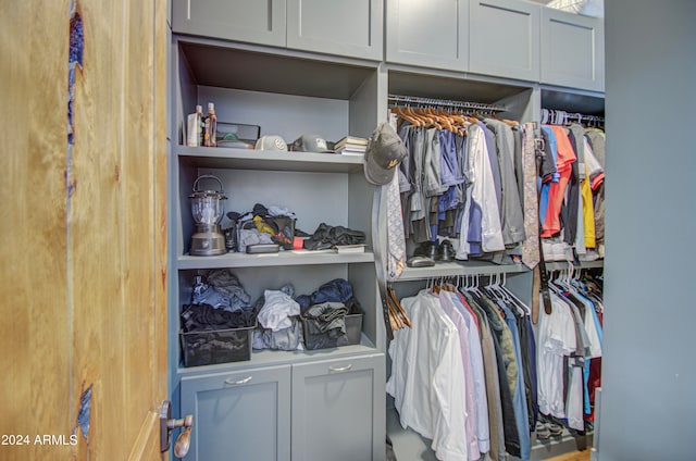 view of walk in closet