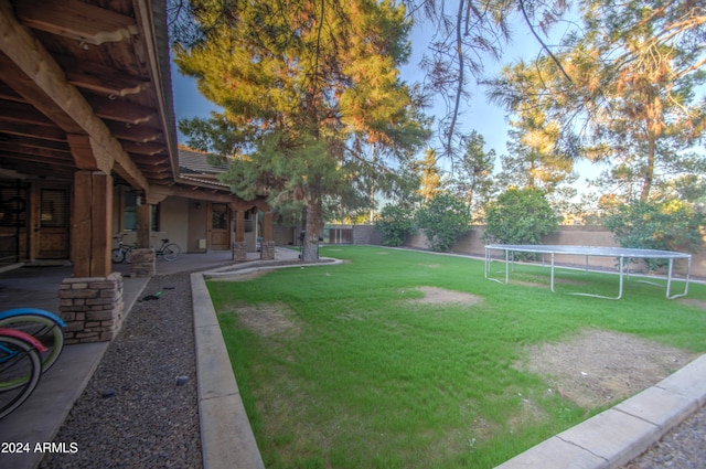 view of yard featuring a patio area and a trampoline