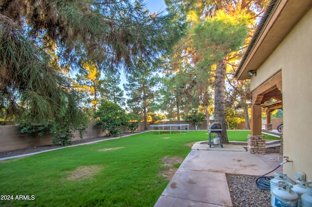 view of yard featuring a patio and a trampoline