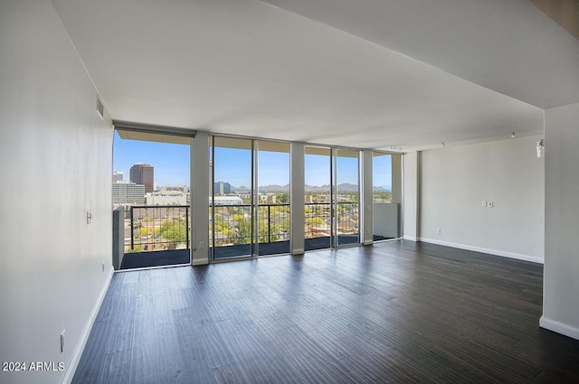 spare room featuring expansive windows and dark hardwood / wood-style floors