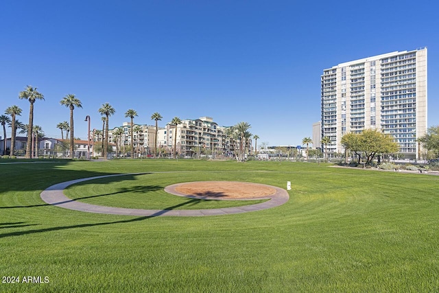 view of community featuring a yard