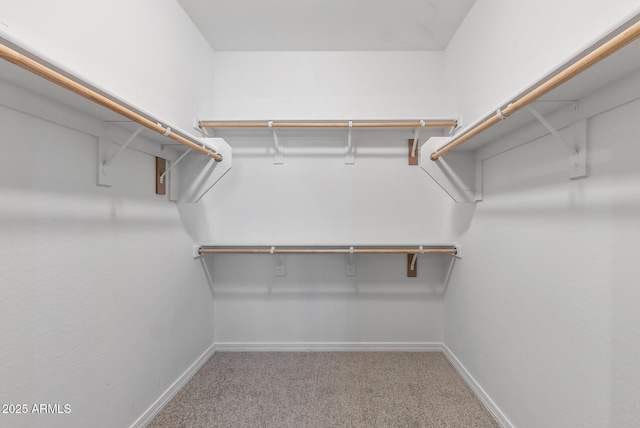 walk in closet with carpet floors