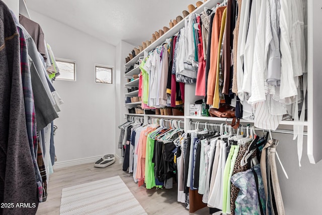 337 E Clairidge Dr, San Tan Valley, AZ 85143 - walk in closet with light wood-type flooring