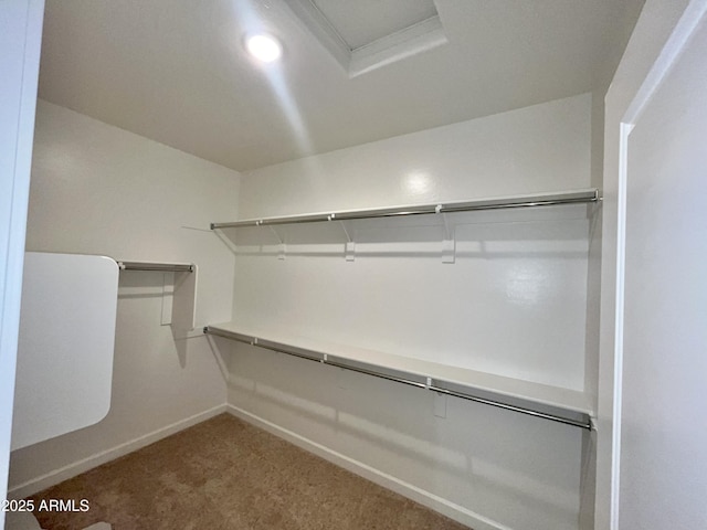 walk in closet featuring carpet flooring and attic access