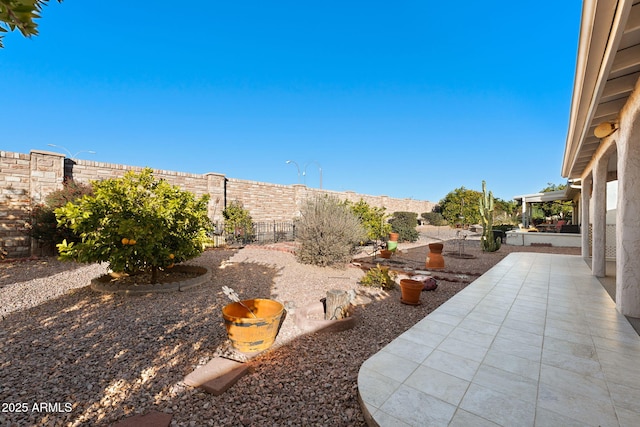 view of yard with a patio