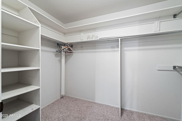 spacious closet with light carpet