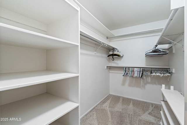 walk in closet with light colored carpet