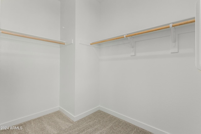 spacious closet with carpet floors