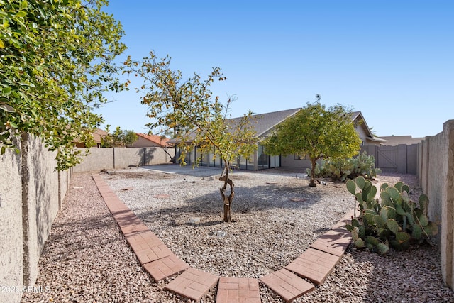 view of yard with a patio