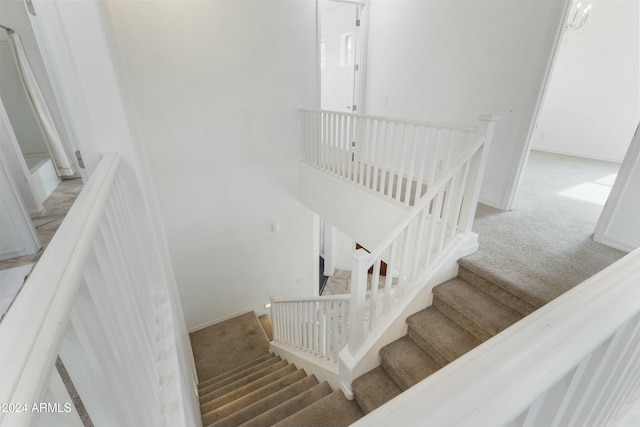 staircase with carpet floors