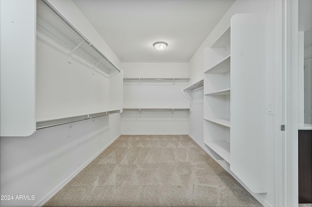 walk in closet with light carpet