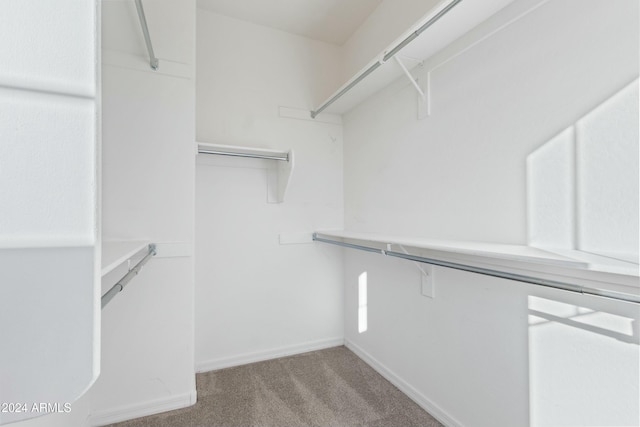 spacious closet featuring light carpet