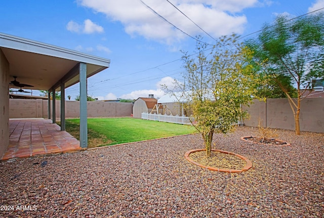 view of yard featuring a patio area, a storage unit, and ceiling fan